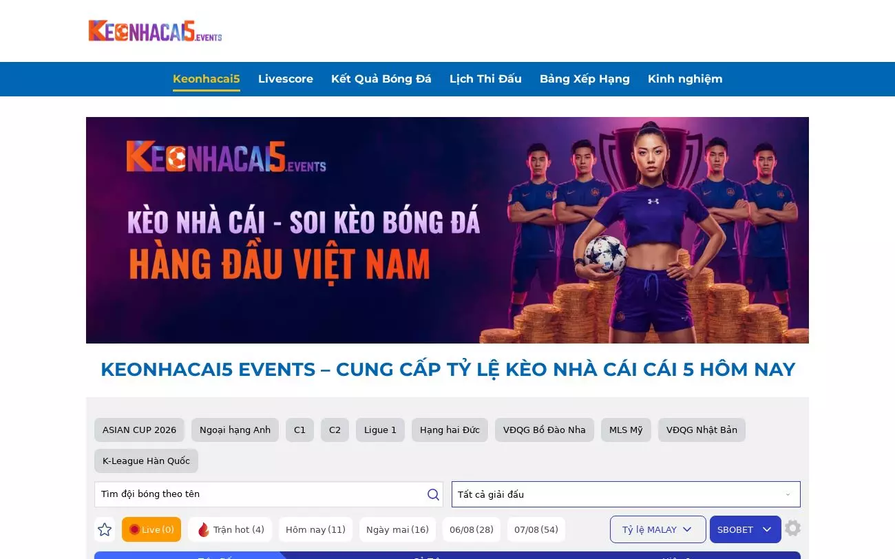 Screenshot of davidsteinberg.tv