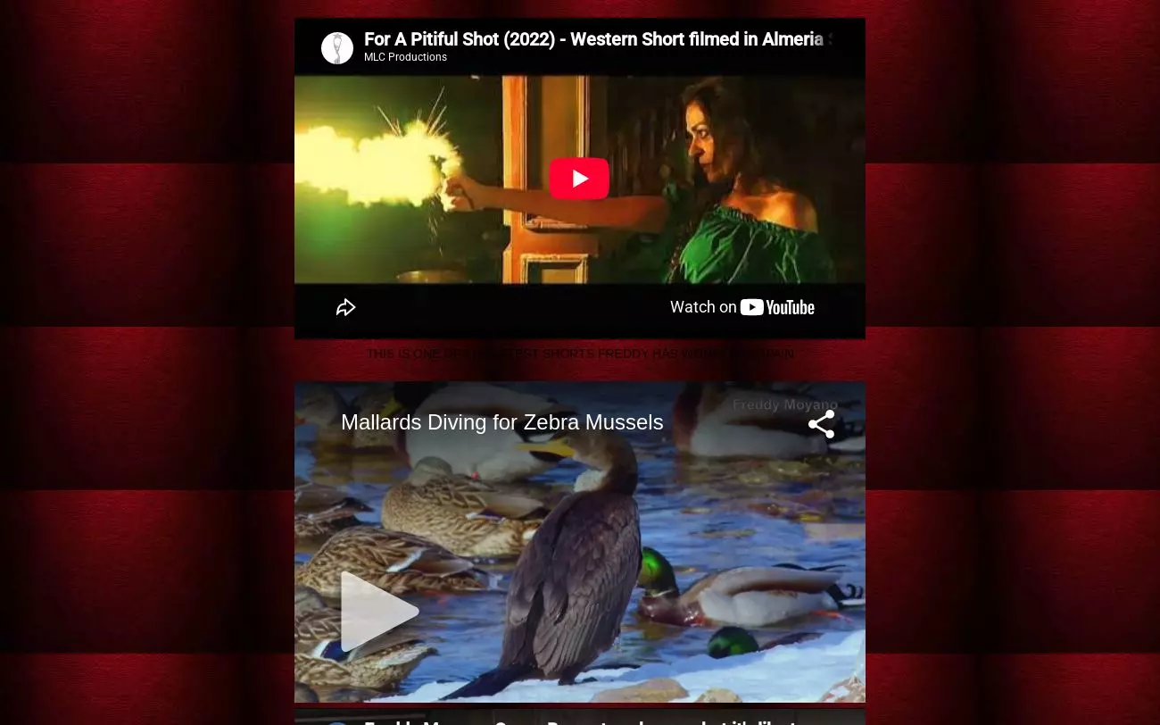 Screenshot of mlcproductions.org