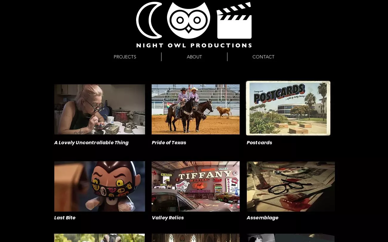 Screenshot of nightowlvideo.com
